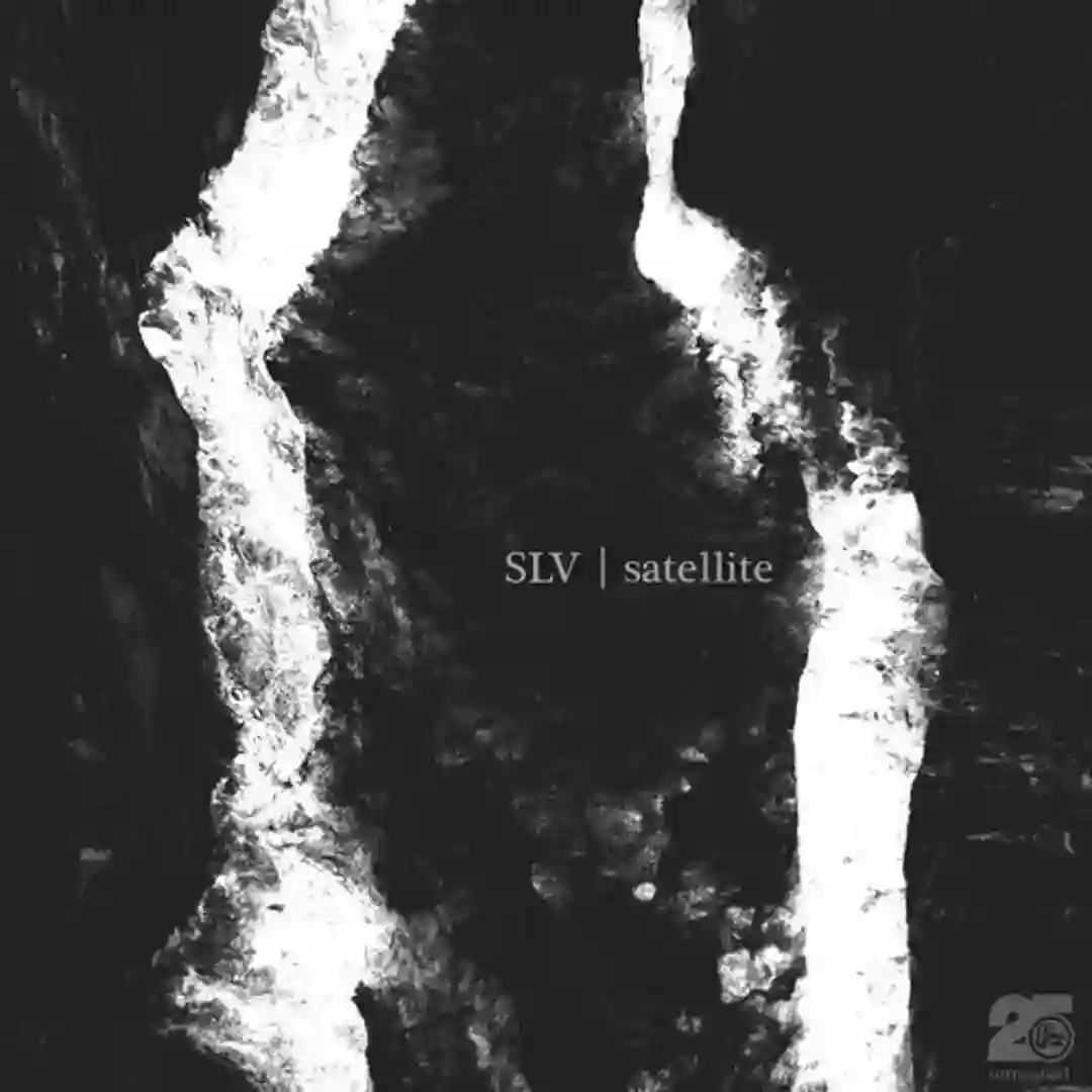Satellite (Original Mix) cover