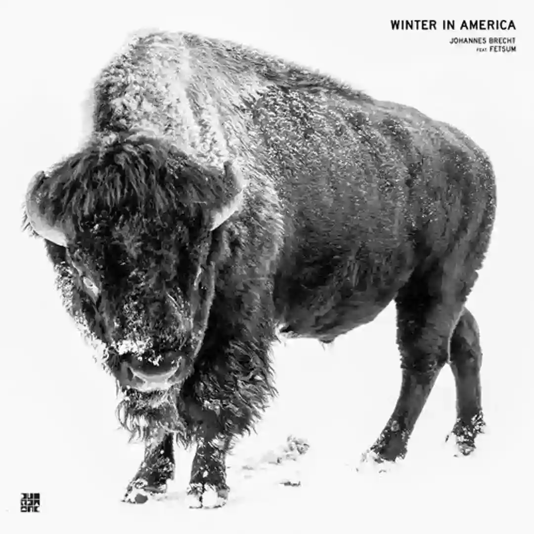 Winter in America cover