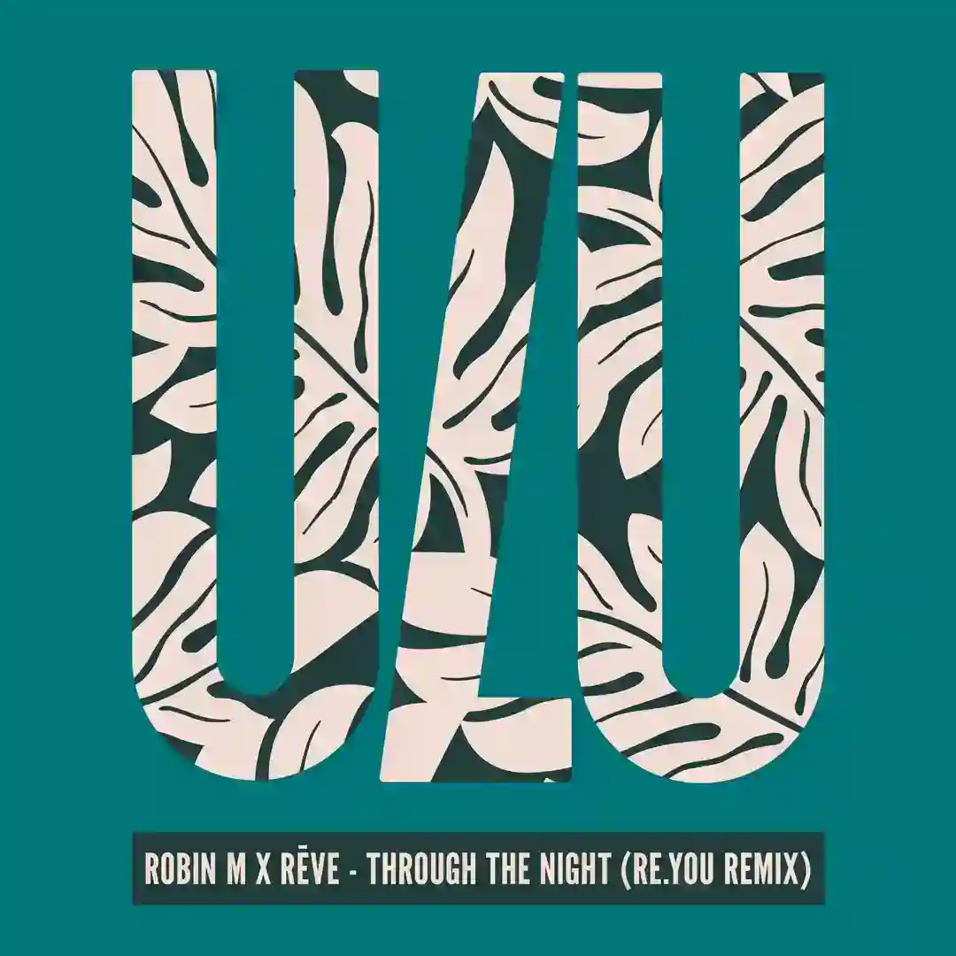 Through The Night (Re.You Remix) cover