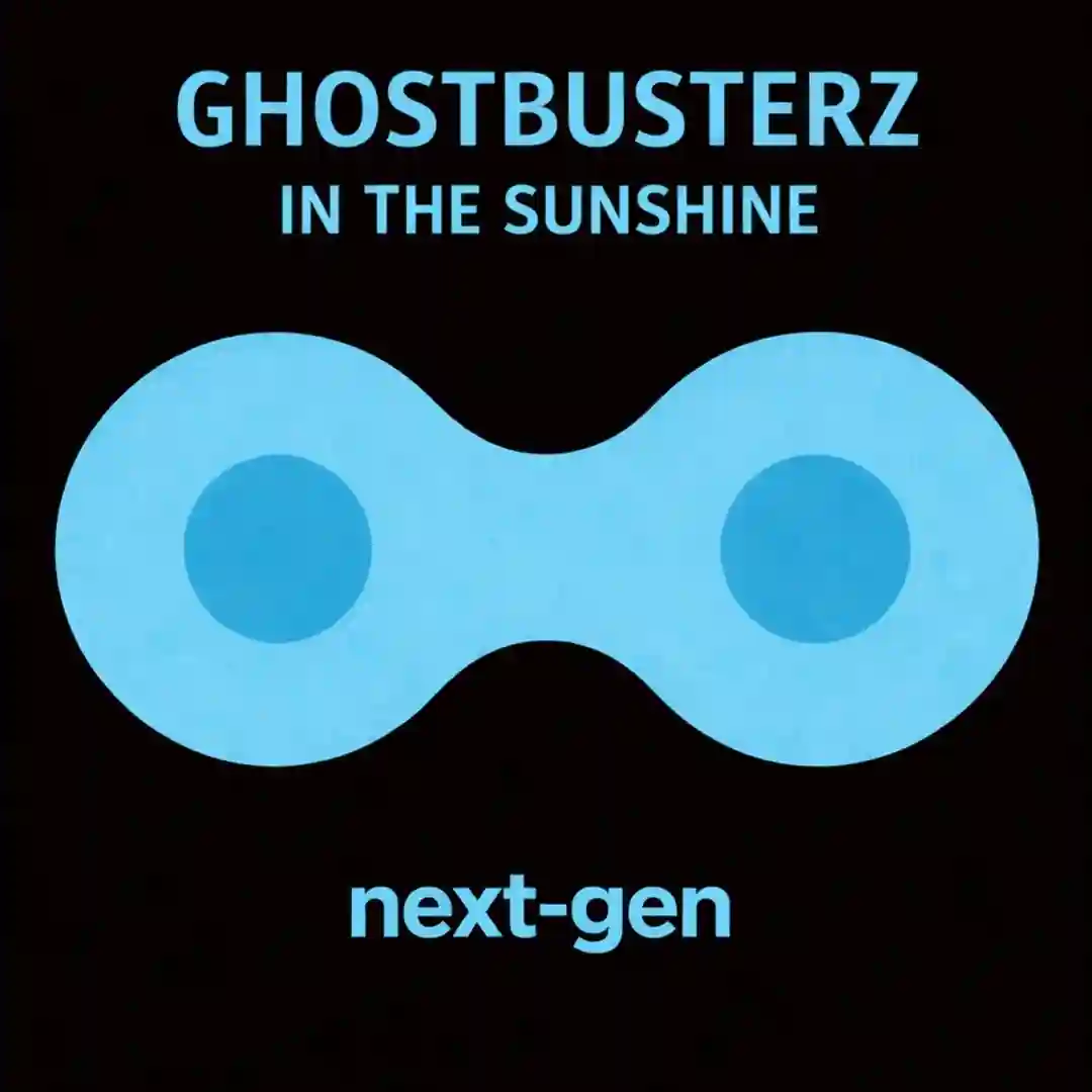 In The Sunshine cover