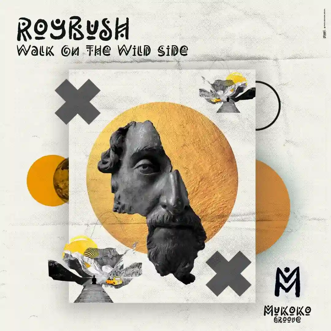 Walk on the Wild Side (Extended Mix) cover