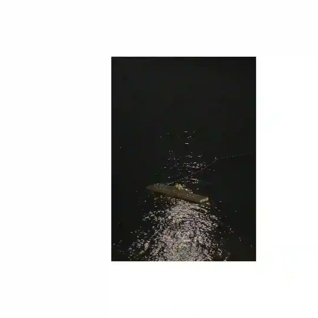 Katamaran cover