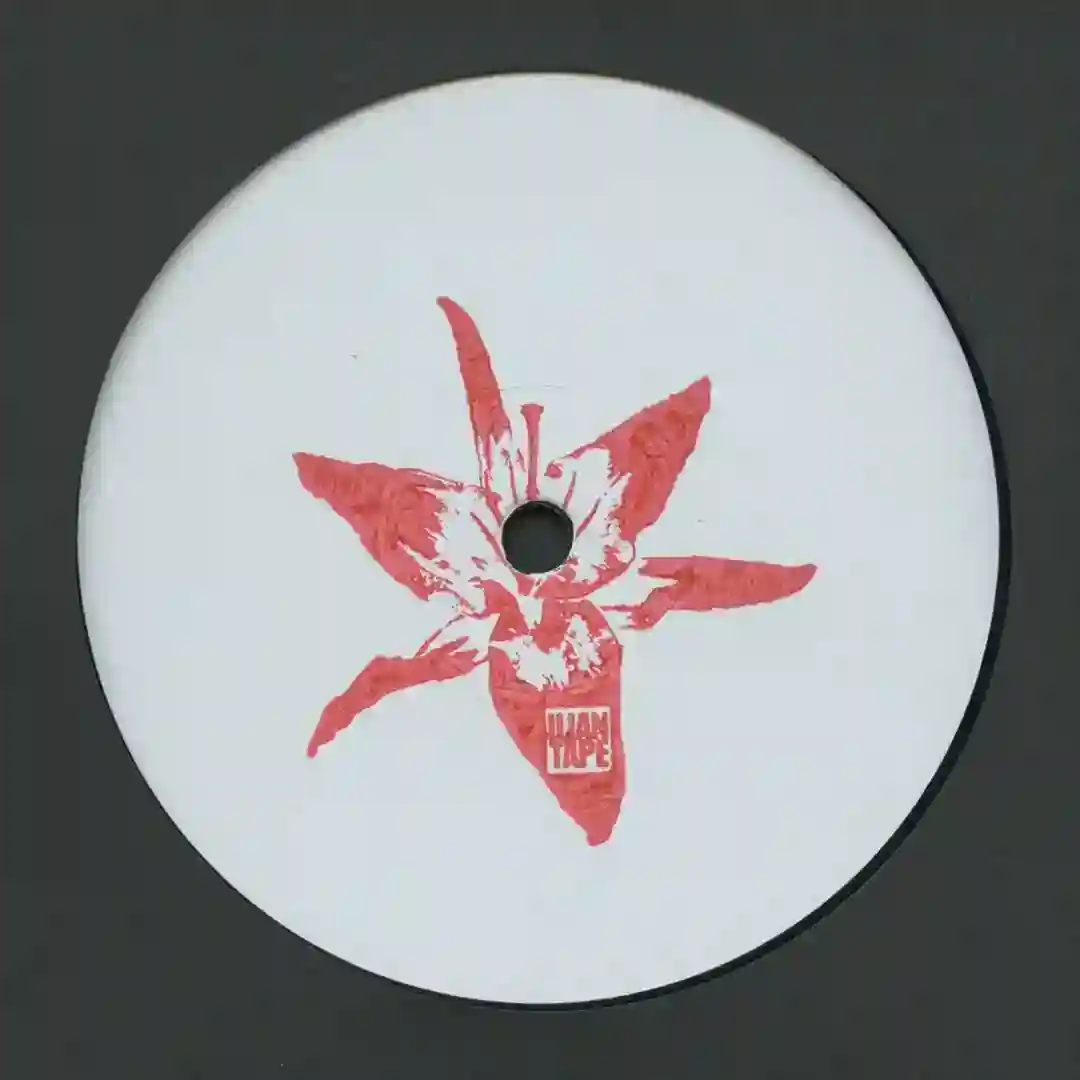 Liz's Track cover