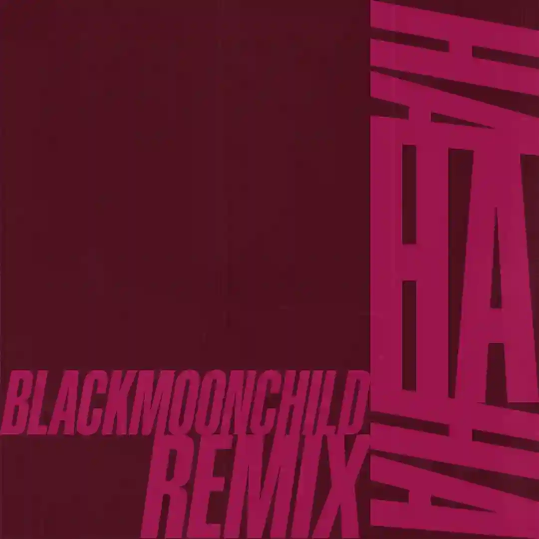 HA HA HA (Blackmoonchild Remix) cover
