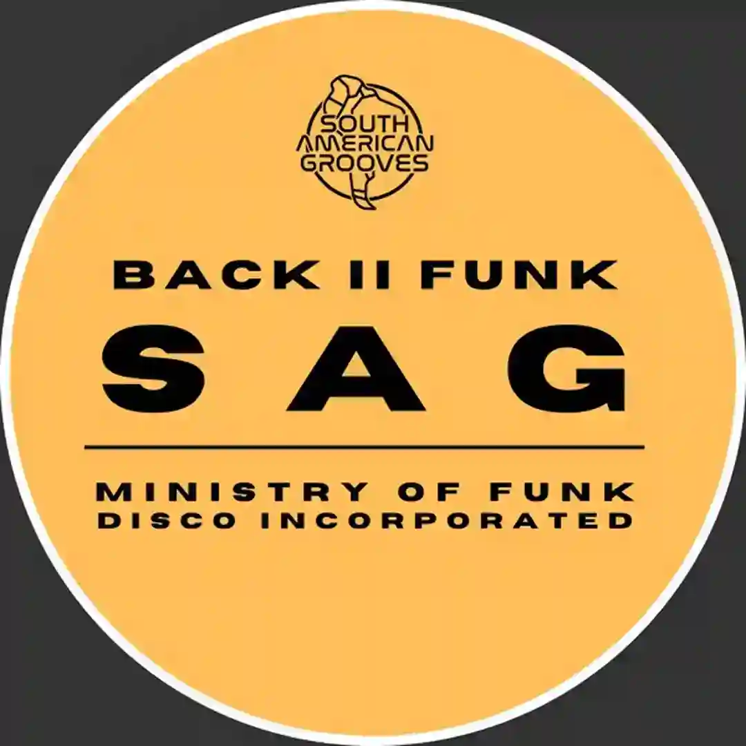 The Bag cover