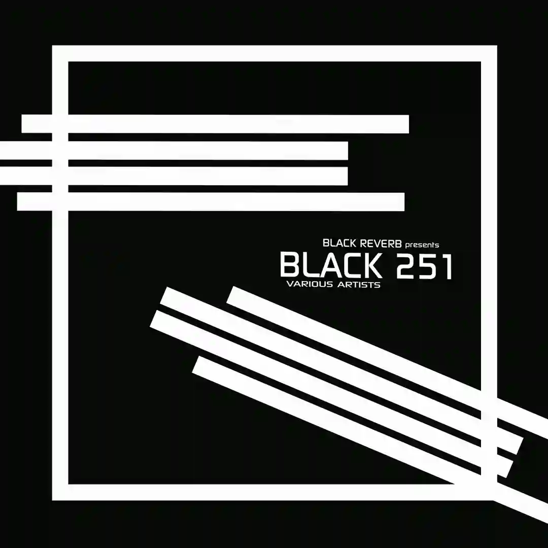 Black 251 cover