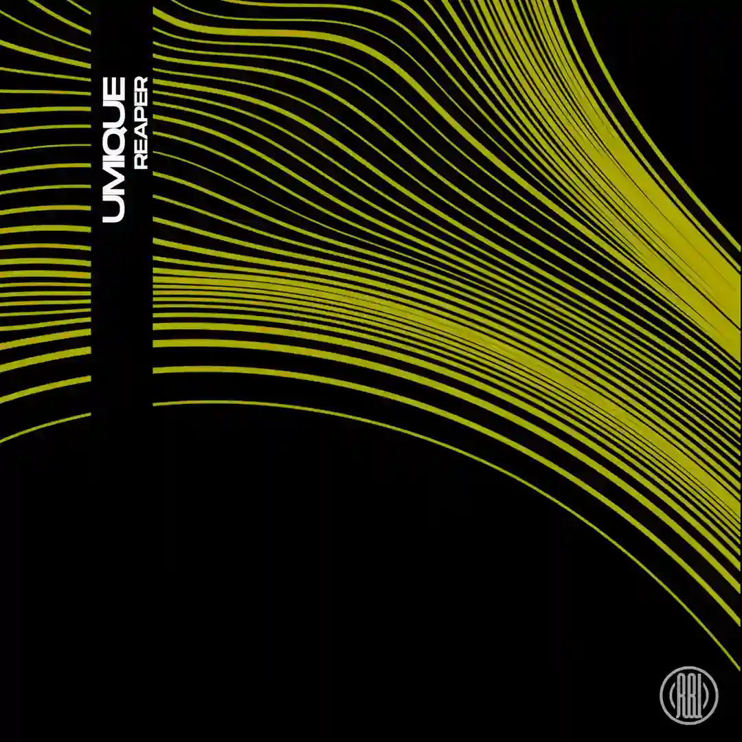Under The Skin (Original Mix) cover