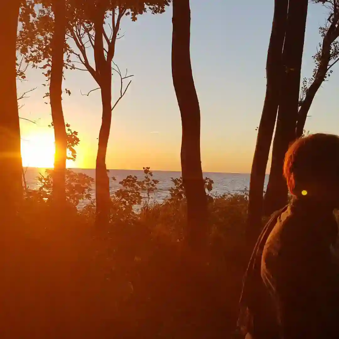 Chicane - Saltwater (pwl edit) cover