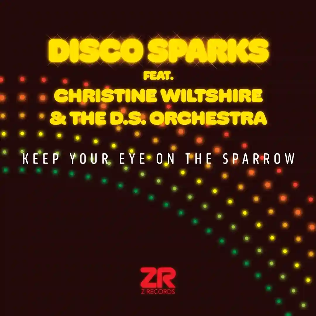 Keep Your Eye On The Sparrow (Extended Instrumental) cover