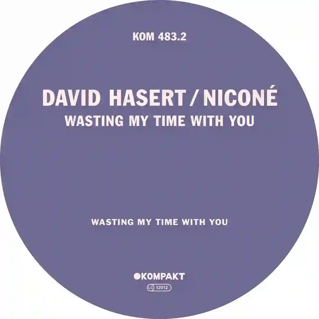 Wasting My Time With You (Extended Mix) cover