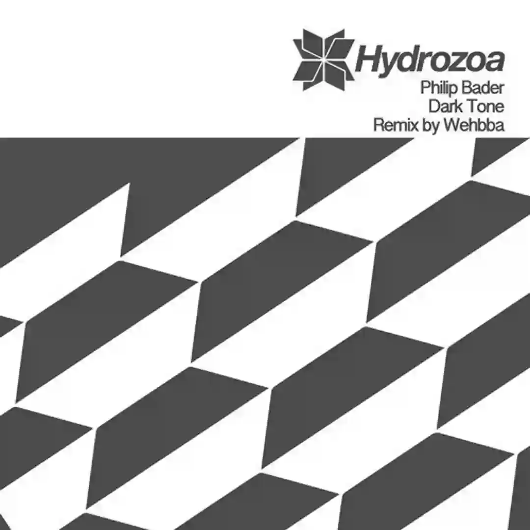 Dark Tone cover