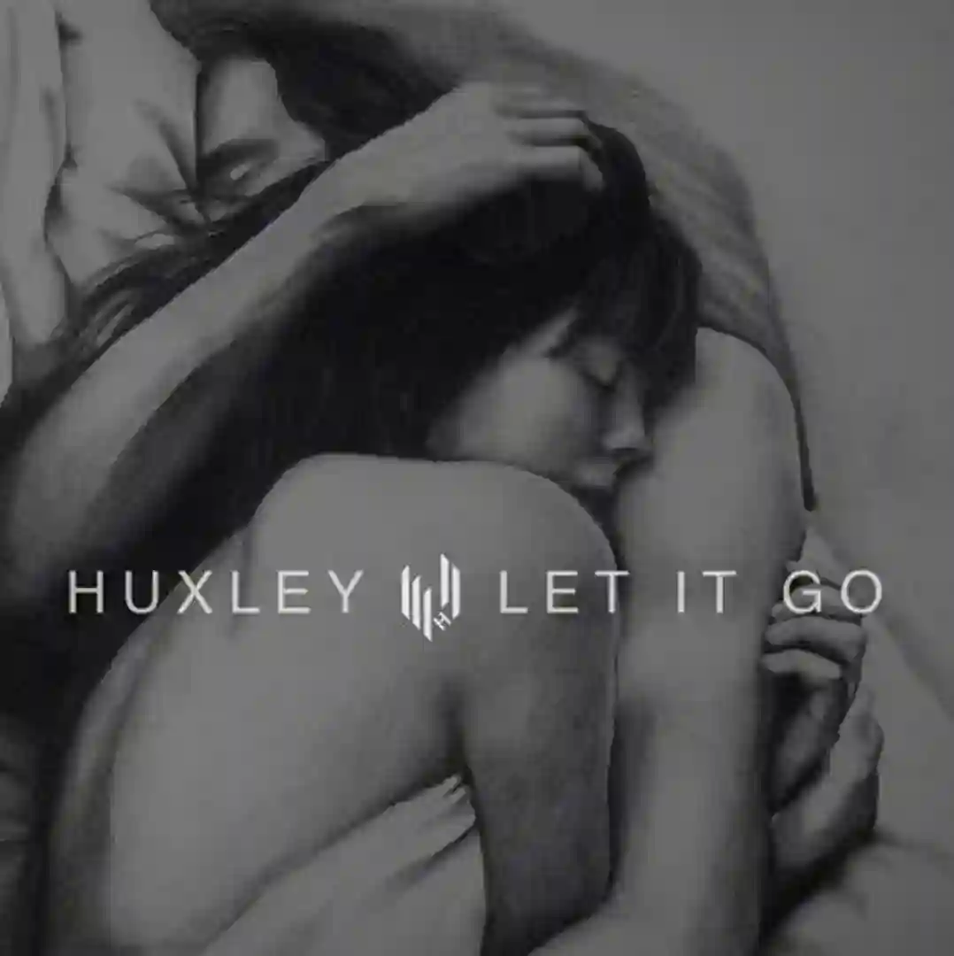 Let It Go cover