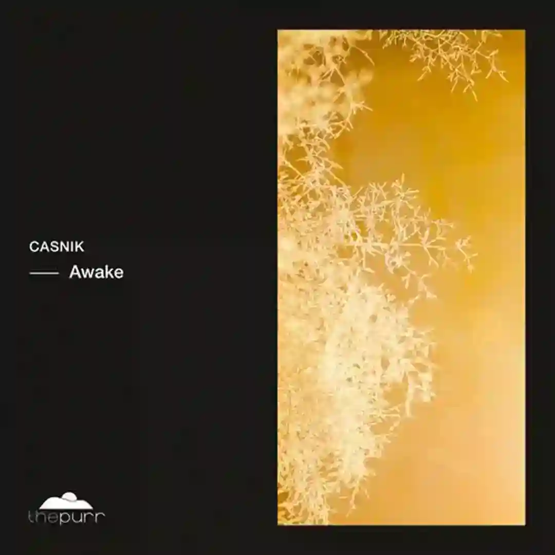 Everything Is Love cover