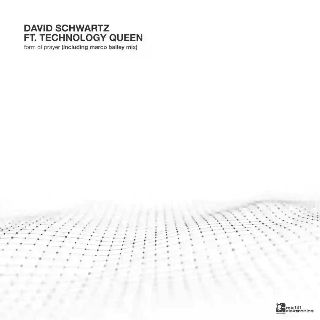 Technology Queen cover