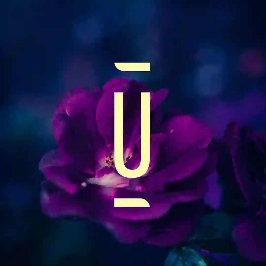 Diving (Original Mix) cover