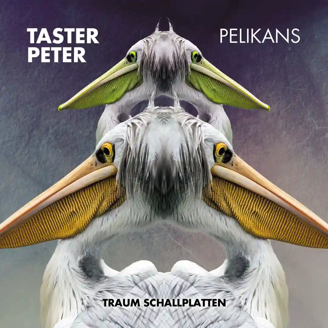 Pelikans (We Need Cracks Remix) cover