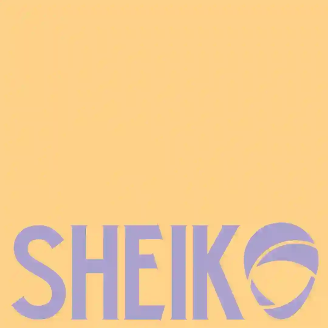 Sheik cover