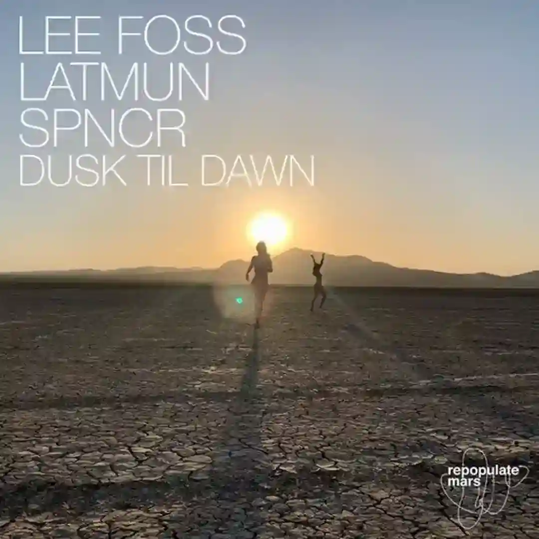 Dusk Til Dawn (Original Mix) cover