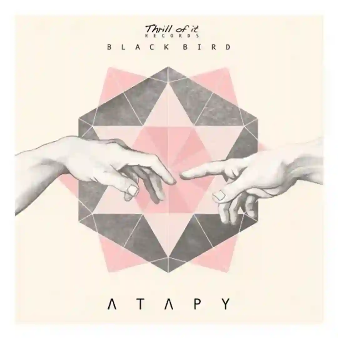 Black Bird cover