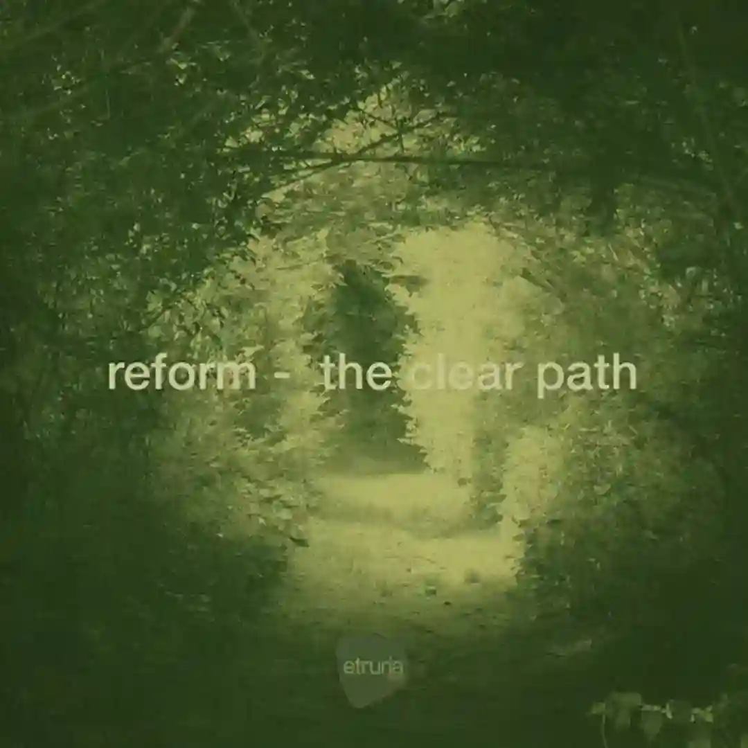 The Clear Path cover