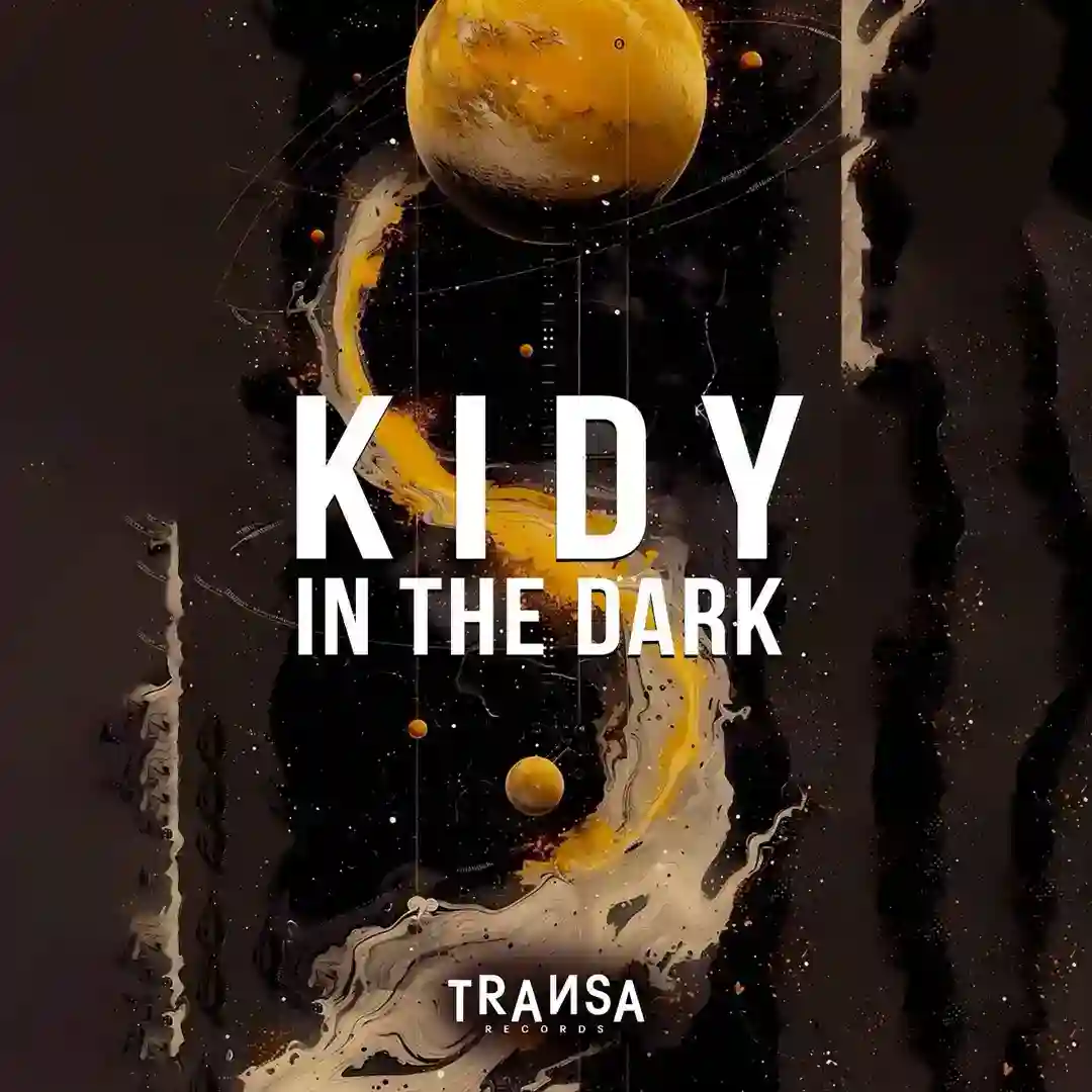 In The Dark cover