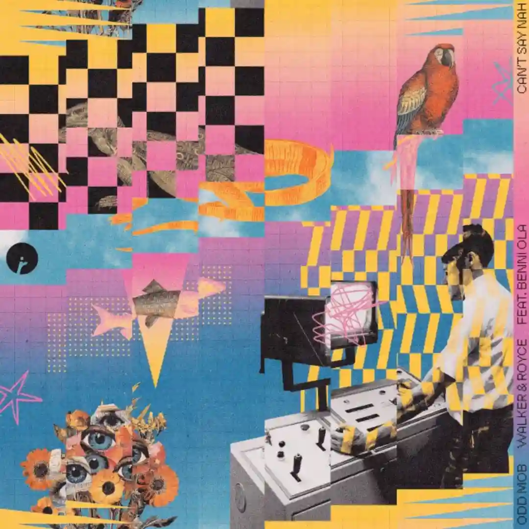 Can't Say Nah cover