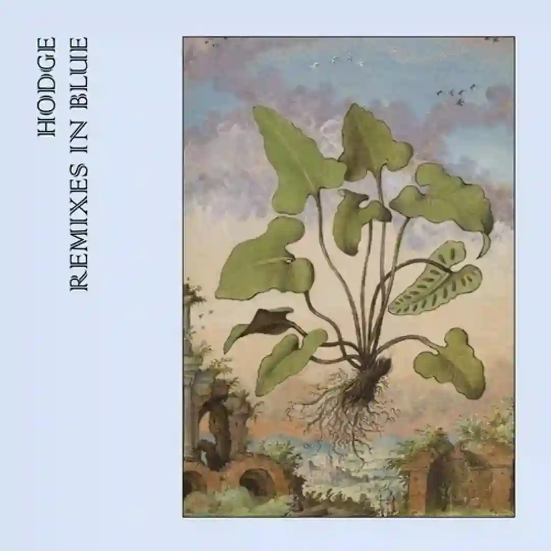 Sense Inversion (Facta & K-Lone Remix) cover