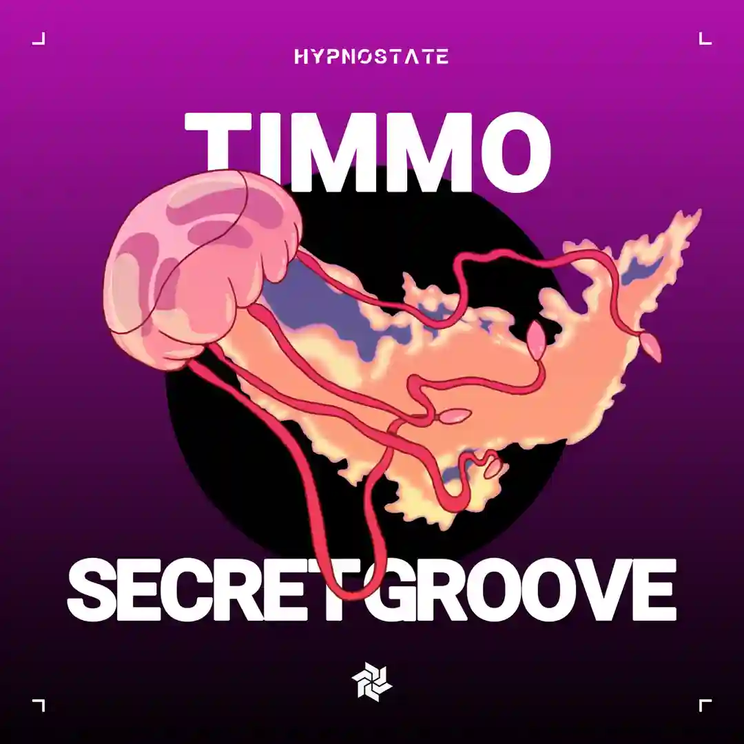 Secret Groove cover