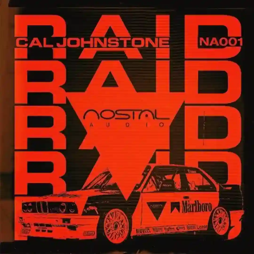Raid (Original Mix) cover