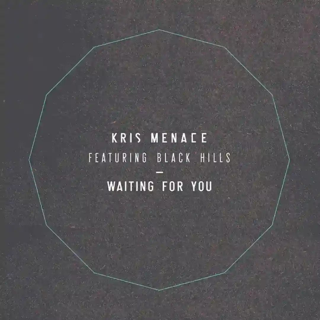Waiting For You Feat. Black Hills (Dosem Remix) cover