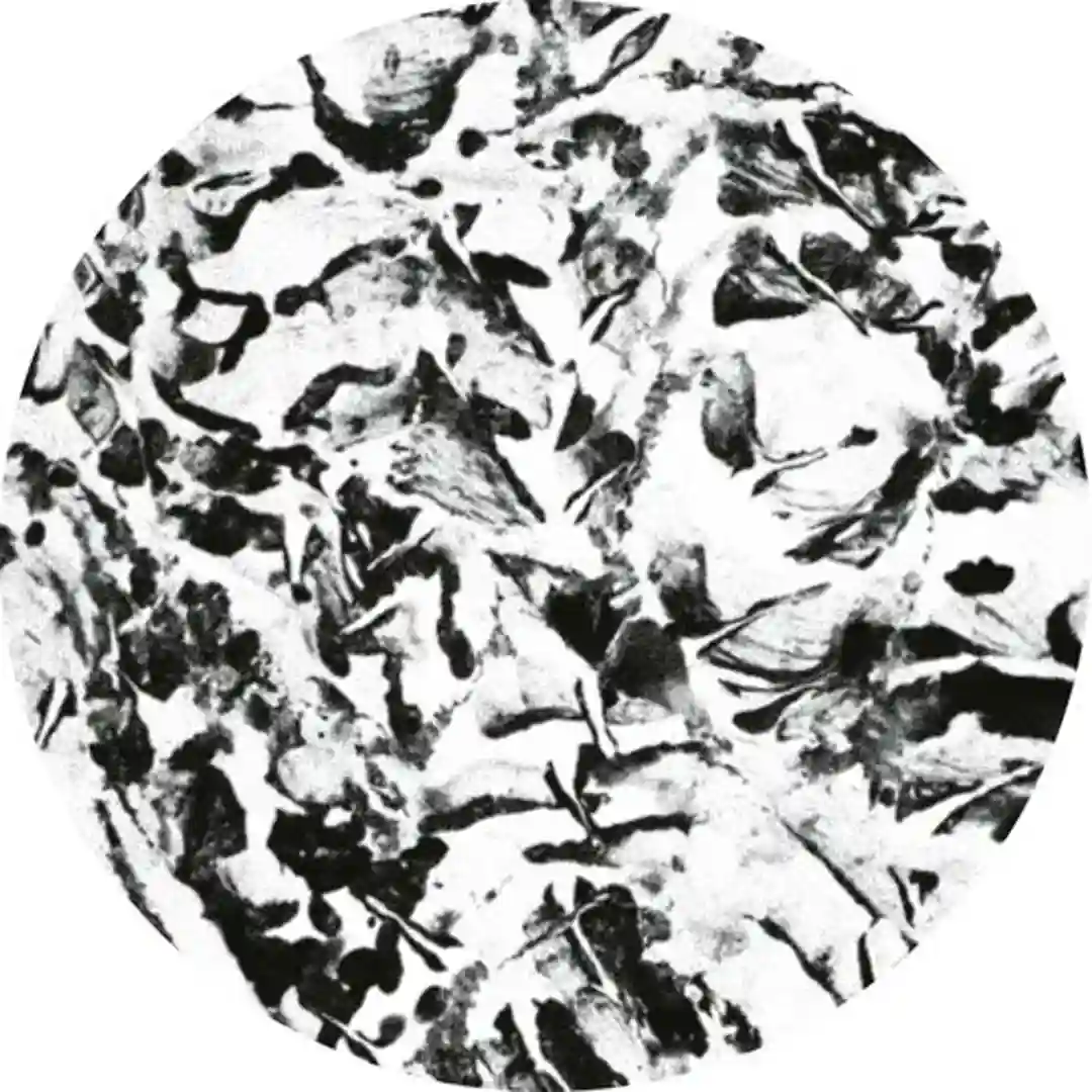 Zanziba (Original Mix) cover