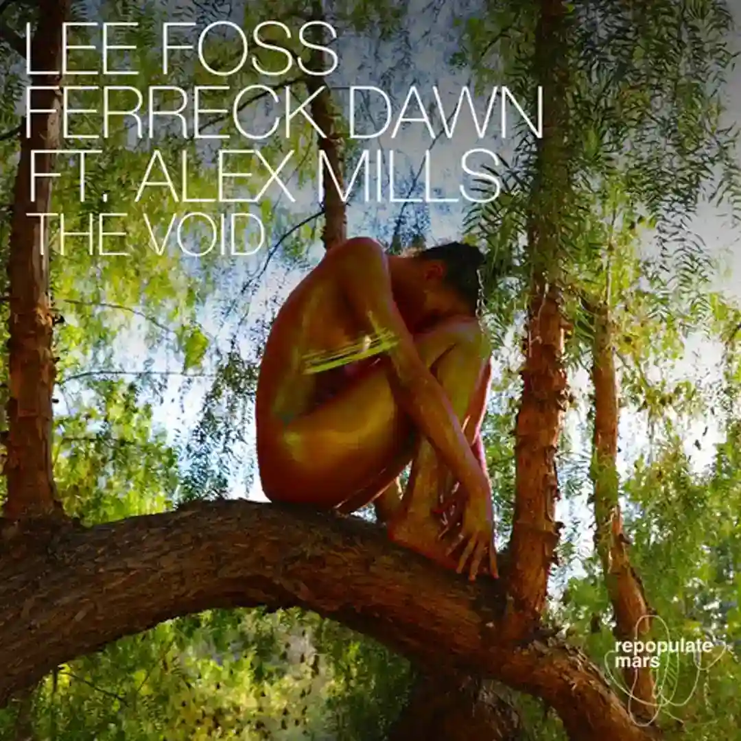 The Void feat. Alex Mills (Marco Faraone Remix) cover