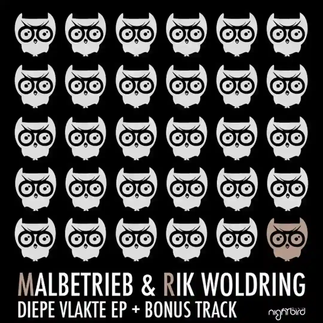 Diepe Vlakte (Original Mix) cover