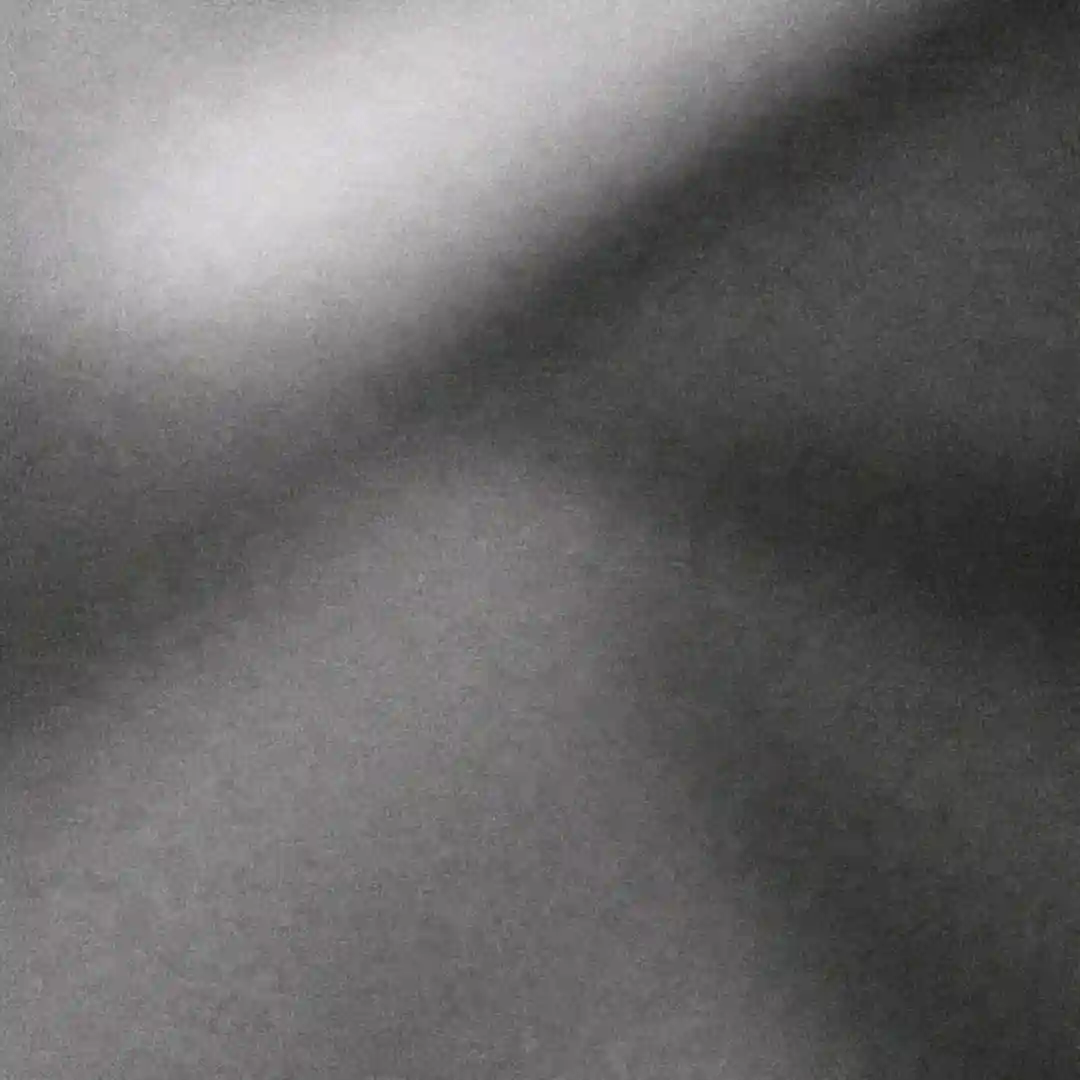 Der Flug Der Feuervögel (Original Mix) cover