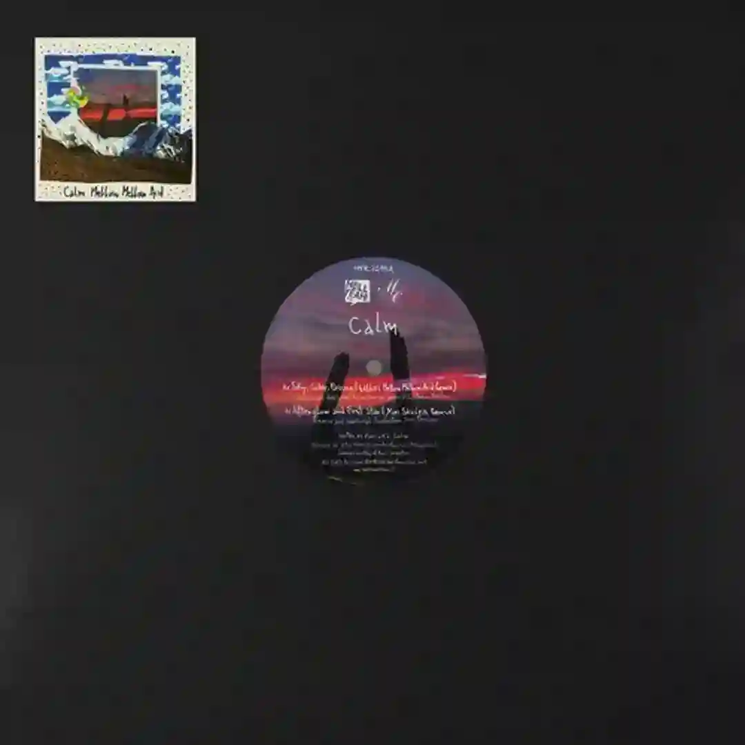 Sky, Color, Passing (Gallo Mellow Mellow Acid Remix) cover