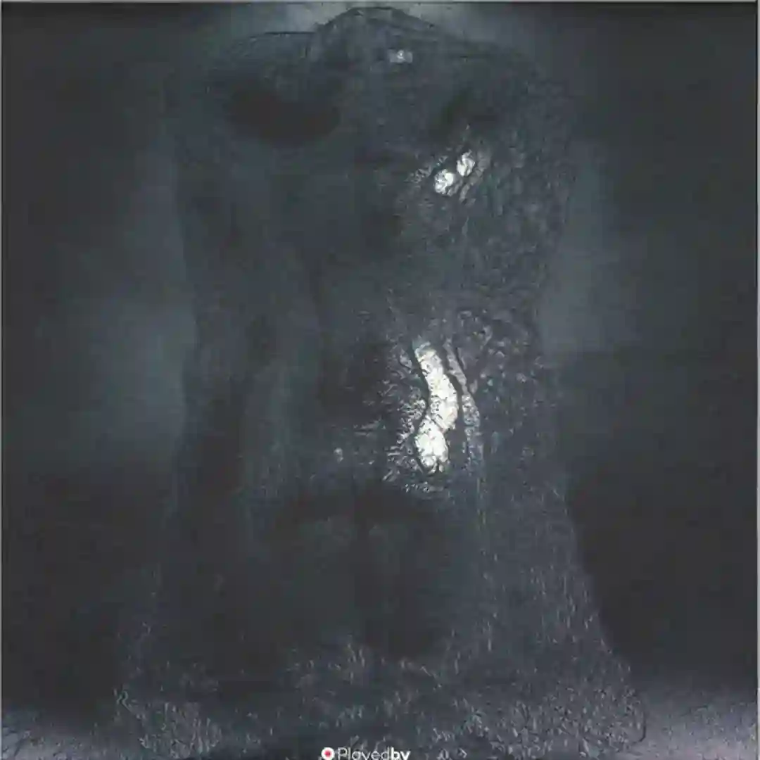 L5S1 cover