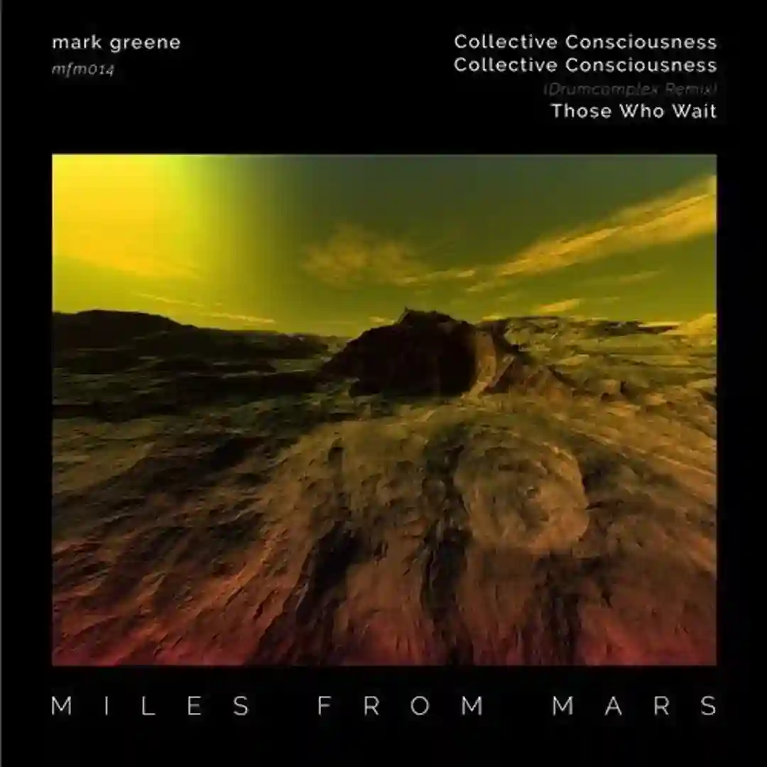 Collective Consciousness (Drumcomplex Remix) cover