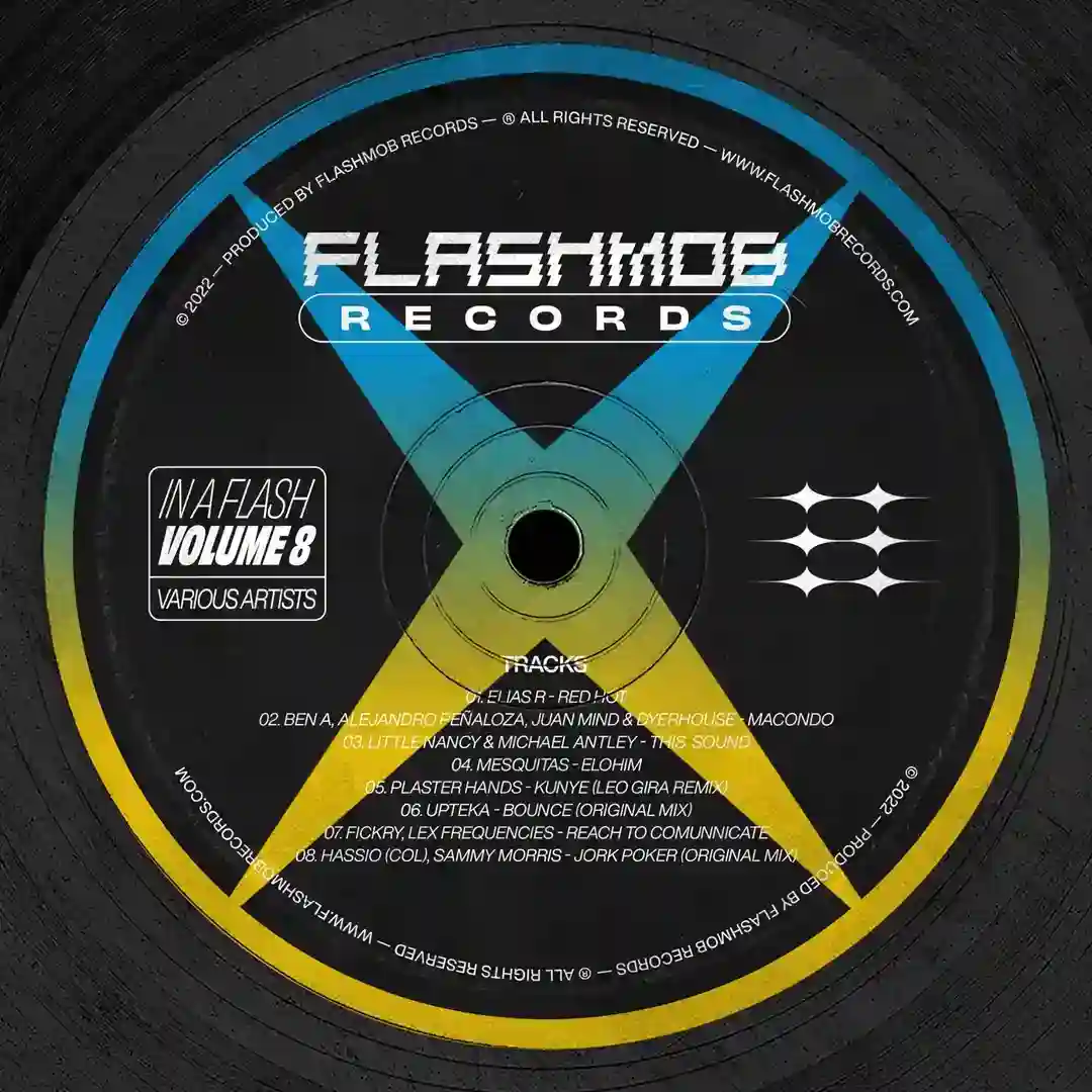 In A Flash, Vol. 8 cover