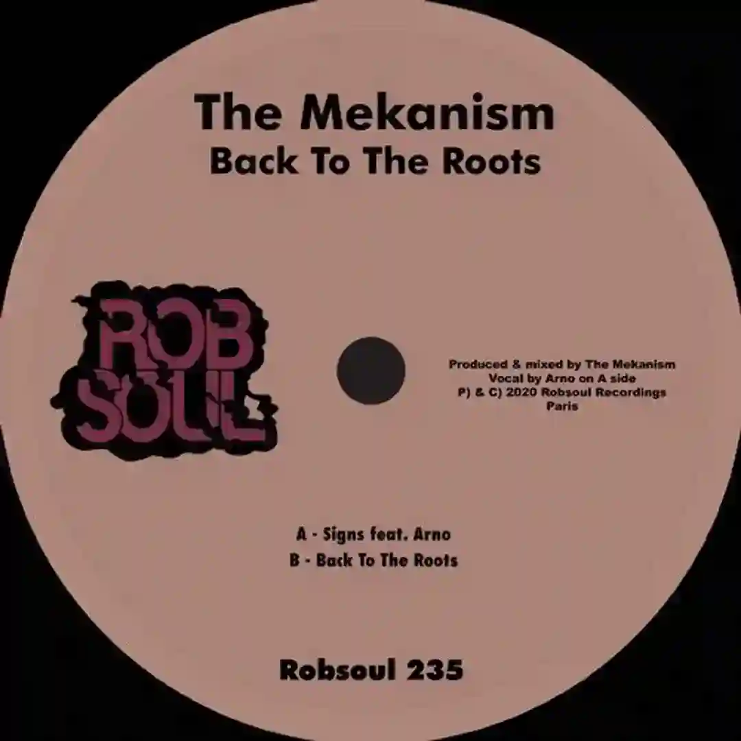 Back To The Roots (Original Mix) cover