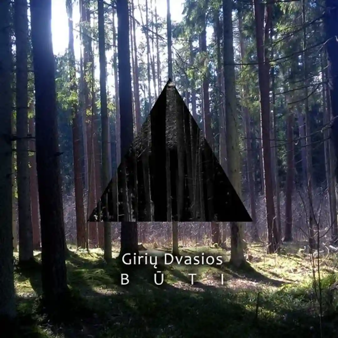 Paslaptinga salis (Original Mix) cover