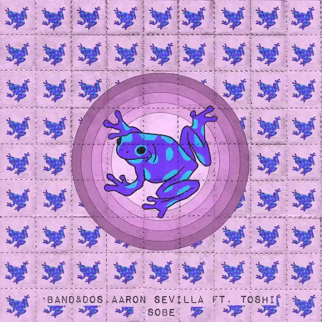 Sobe cover