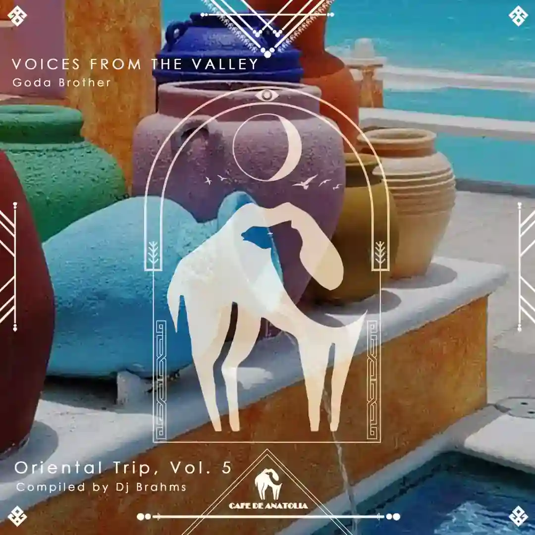 Voices From the Valley (Original Mix) cover