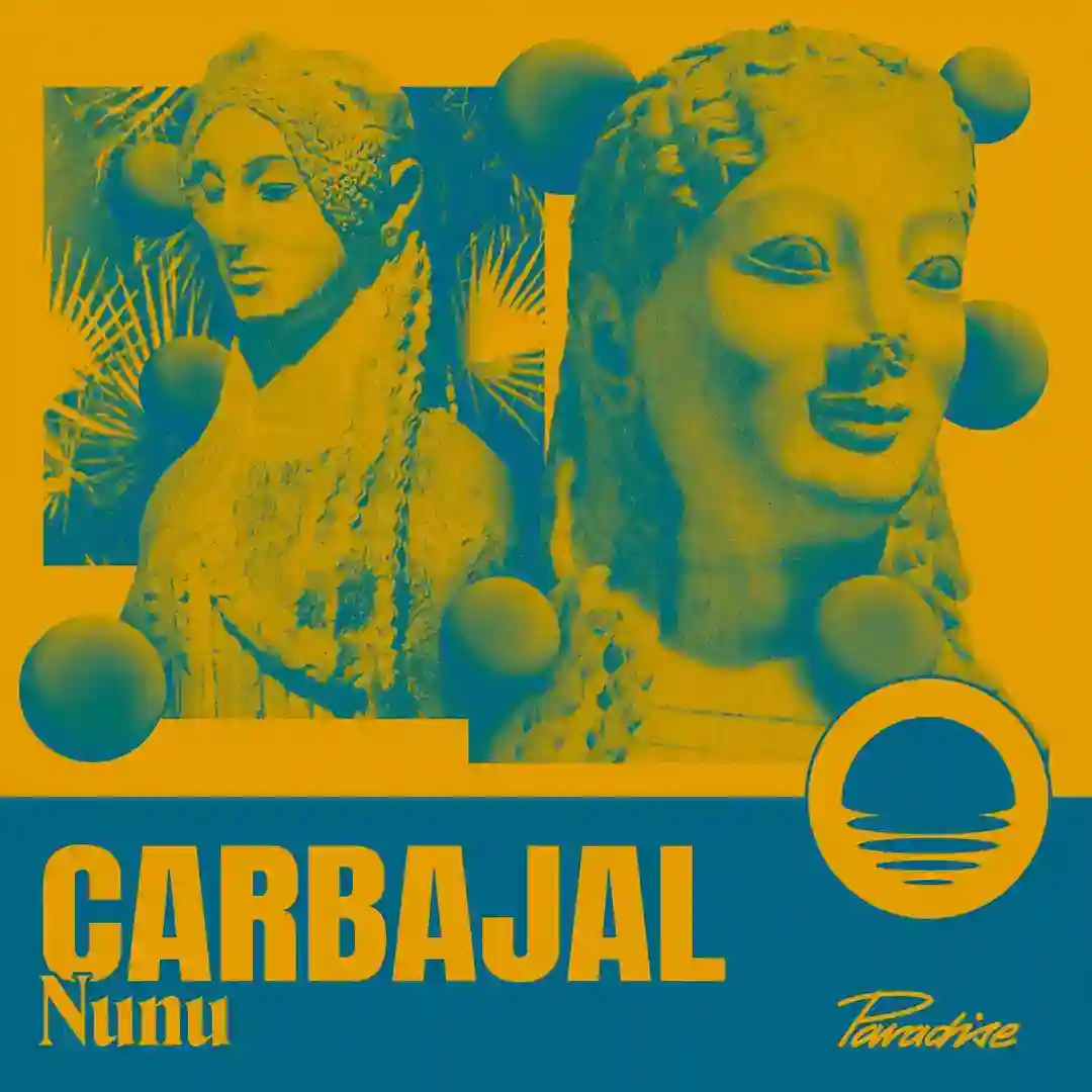 Nunu (Original Mix) cover