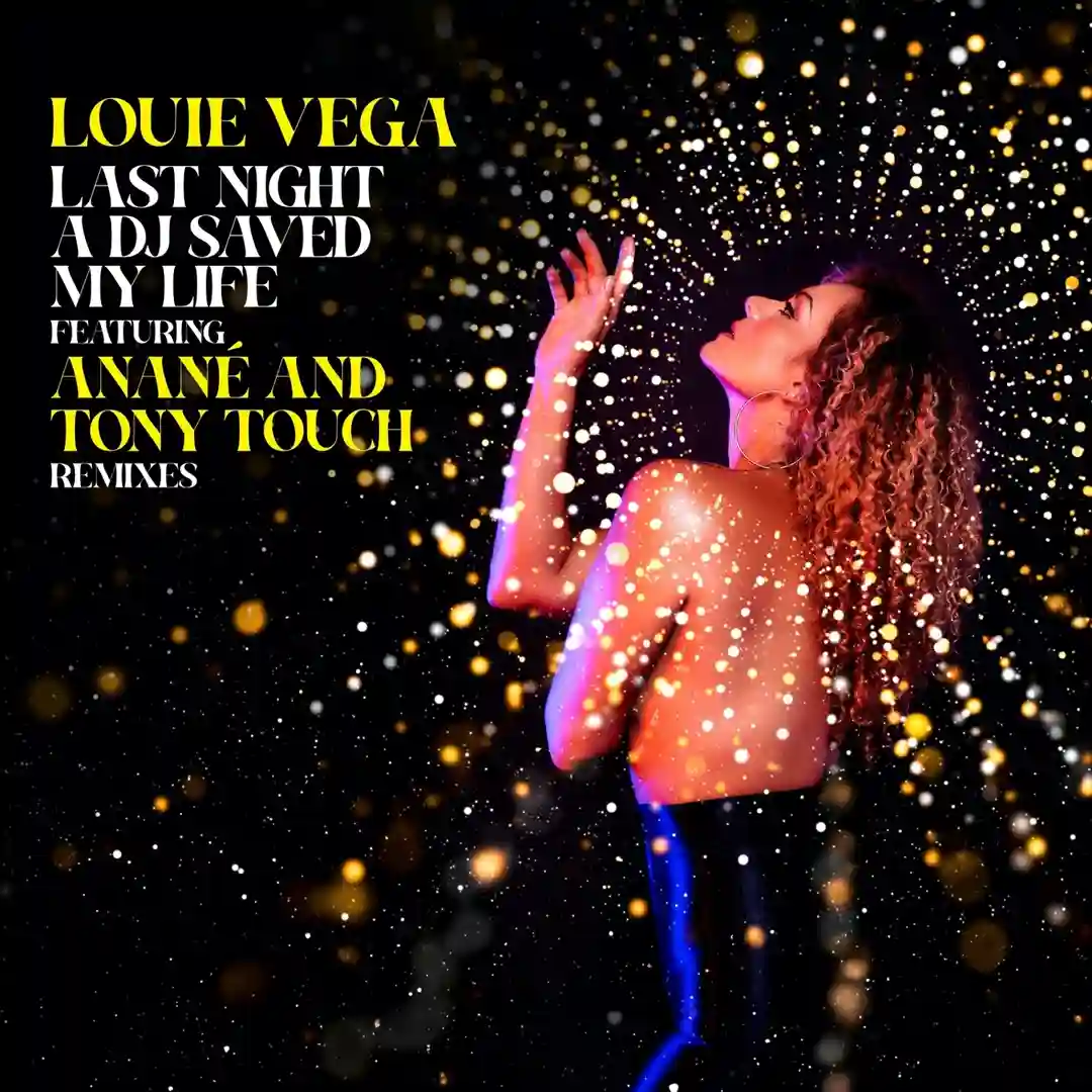 Last Night A DJ Saved My Life feat. Anané & Tony Touch (Remixes) cover