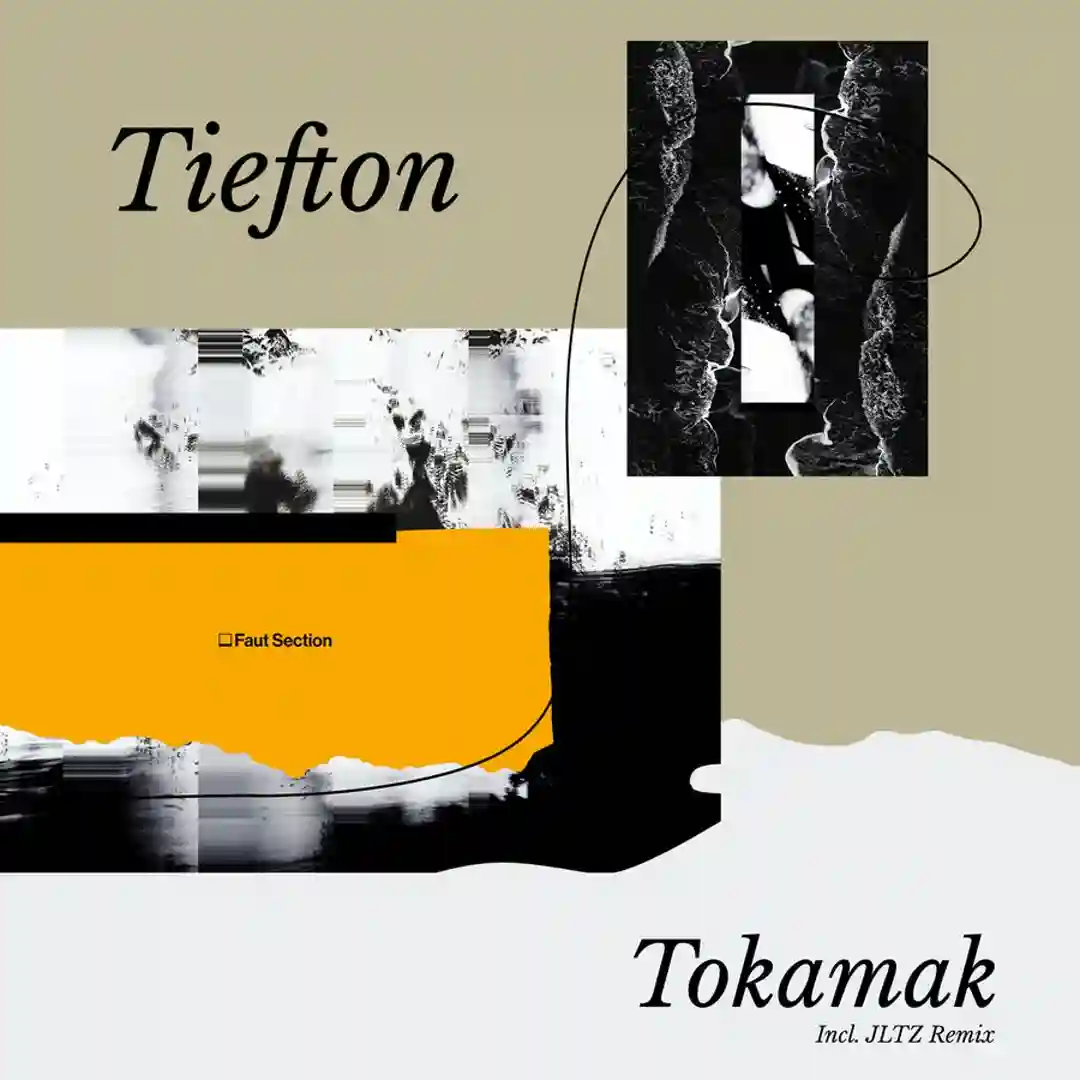 Tokamak cover