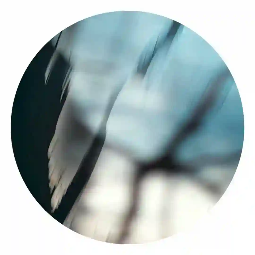 Texture 40.1 (Claudio PRC Reconstruction) cover