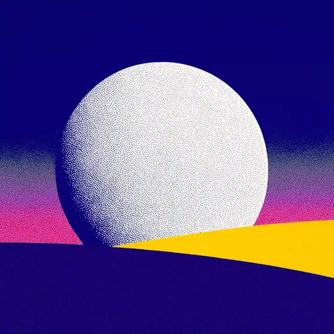 Own the Night cover