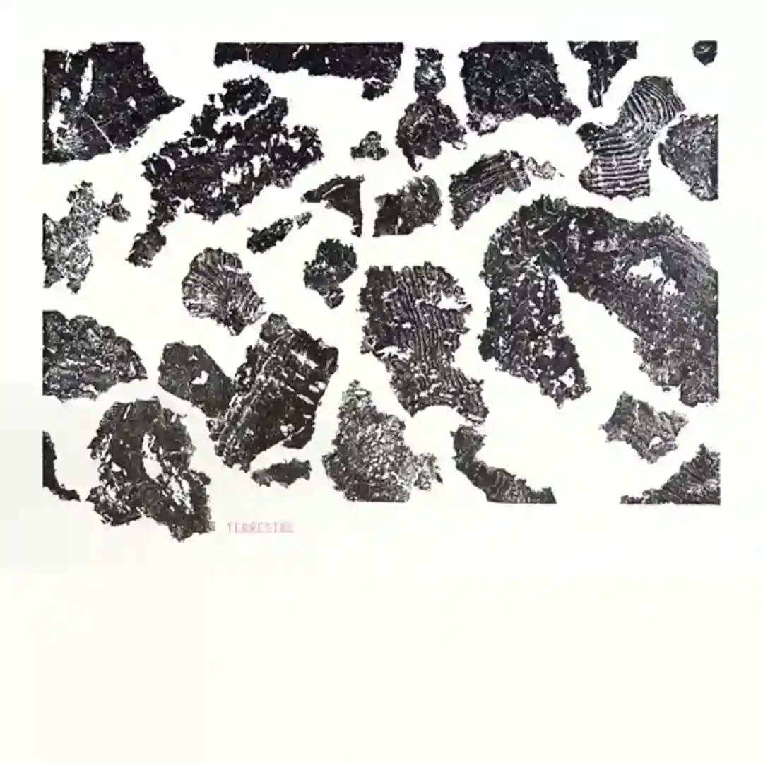 B1 - Chorus cover