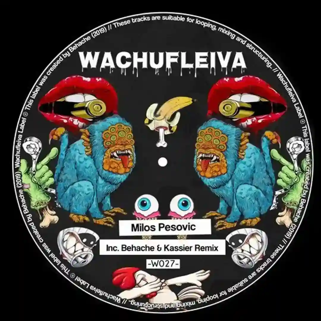 Wachufleiva 27-2 (Original Mix) cover