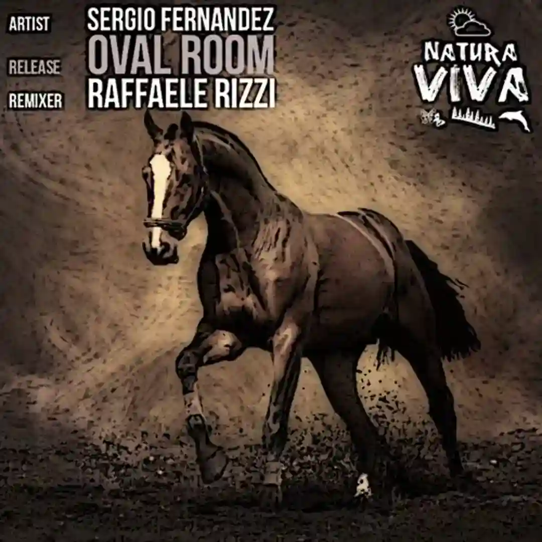 Oval Room (Raffaele Rizzi Remix) cover
